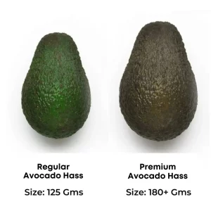 Avocado Hass Tanzania